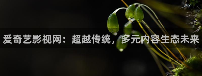 青柠影院app
