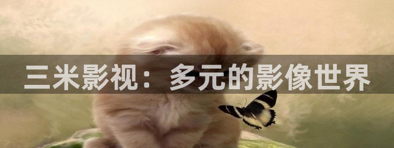 青柠影视在线观看免费高