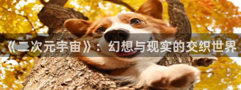 青柠影视8：《二次元宇宙》：幻想与现实的交织世界