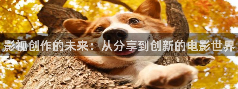 青柠影视免费